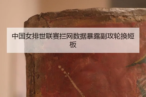 zhong-guo-nv-pai-shi-lian-sai-lan-wang-shu-ju-bao-lu-fu-gong-lun-huan-duan-ban-2-196.jpg