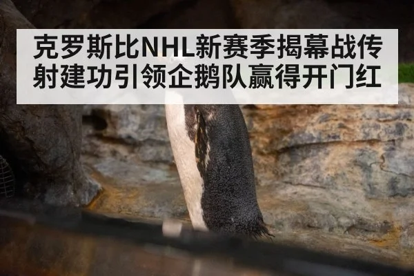 克罗斯比NHL新赛季揭幕战传射建功引领企鹅队赢得开门红